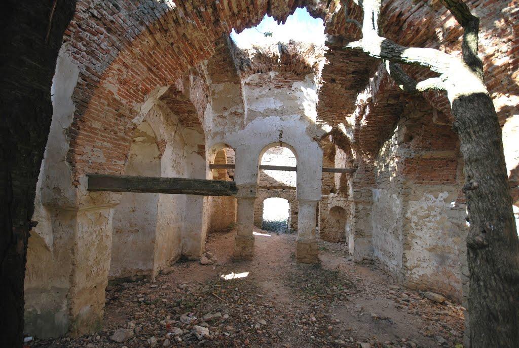 Ruinele Biserici lui Cujba